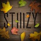 STIIIZY Ferndale
