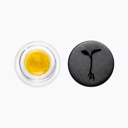 Carbon Fiber Live Sauce