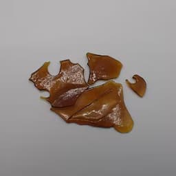 Birthday Dawg Shatter - I 1G