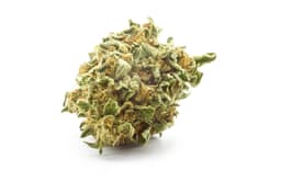 GRASSHOPPER FARMS | Buds | Zookies
