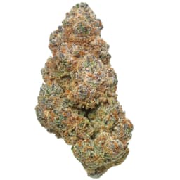 Sub Zero | Flower