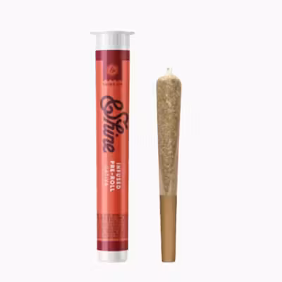 & Shine Sativa Infused PreRoll 1g - Glue Tang Haze