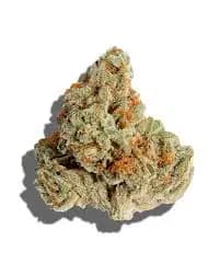 Terp Alert: GG4 X Deathstar 3.5g