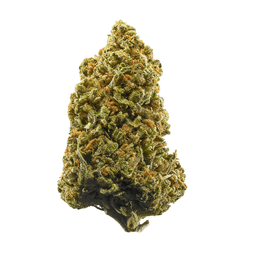 Silver - Lamb's Breath - Loose