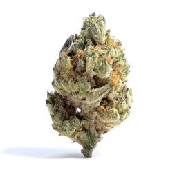 Papa Burger | Flower