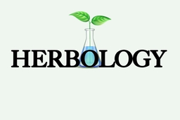 Herbology South Modesto Dispensary Herbology South Modesto Dispensary