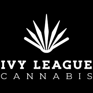 Ivy League Detroit - Recreational Ivy League Detroit - Recreational