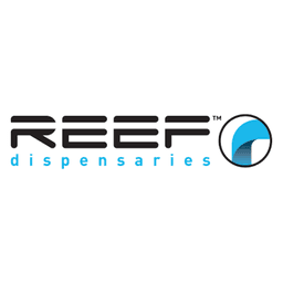 The Reef The Reef