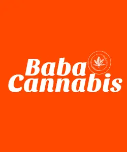 Baba Cannabis Baba Cannabis