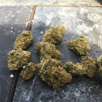DC Cannabis Buds