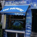 Dolphins Dolphins