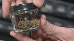 Olds Organic | Fire Flower | Pre-Pack Olds Organic | Fire Flower | Pre-Pack