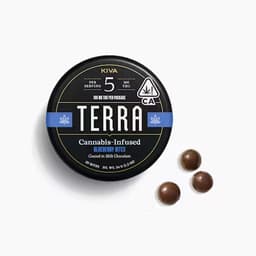 Terra Blueberry Bites Terra Blueberry Bites