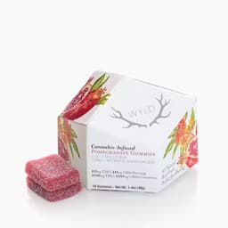 Pomegranate 1:1 CBD + Hybrid Enhanced Gummies 100:100mg Pomegranate 1:1 CBD + Hybrid Enhanced Gummies 100:100mg