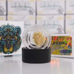 Amarelo #9 T1 Live Rosin - 1g Amarelo #9 T1 Live Rosin - 1g