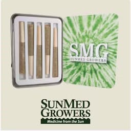 Purple Punch Pre Roll 2.5g/5 Pack Tin Purple Punch Pre Roll 2.5g/5 Pack Tin