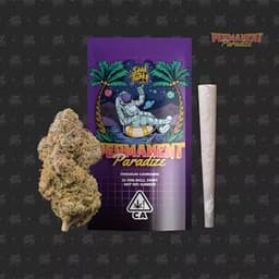 PERMANENT PARADIZE - (1G Pre-Roll) PERMANENT PARADIZE - (1G Pre-Roll)