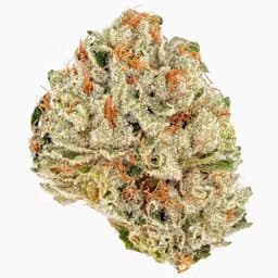 Evidence™️ 8th - Fortune Cookies | Flower Evidence™️ 8th - Fortune Cookies | Flower