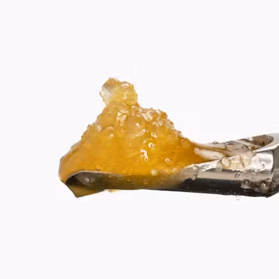 Watermelon Papaya Live Resin Sauce Watermelon Papaya Live Resin Sauce