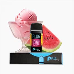 VAPE - 1g PLUG™ Washington: Watermelon Sorbet VAPE - 1g PLUG™ Washington: Watermelon Sorbet