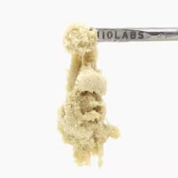 Bootylicious #1 Persy Water Hash 1g Bootylicious #1 Persy Water Hash 1g