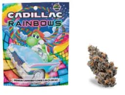 Pre-Pack Infused | Cadilliac Rainbow Pre-Pack Infused | Cadilliac Rainbow