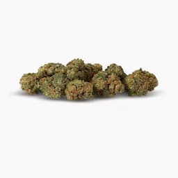 40 TONS | Flower | Bob Saget | 4g 40 TONS | Flower | Bob Saget | 4g