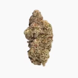 Vireo | MAC1 High THC Small Bud Vireo | MAC1 High THC Small Bud