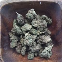 *PLATINUM SHELF* Golden Goat 25.26% *PLATINUM SHELF* Golden Goat 25.26%