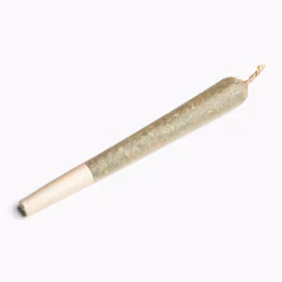 Cone Multi-harvest | Pre roll Cone Multi-harvest | Pre roll