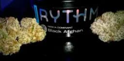 Black Afghan Black Afghan