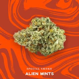 Alien Mints Alien Mints