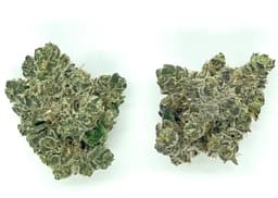 Buds | Apple Fritter Buds | Apple Fritter