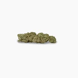 Brite Labs BRITE Highland OCal Flower (3.5g) - H - Peppermint Sleigh Ride Brite Labs BRITE Highland OCal Flower (3.5g) - H - Peppermint Sleigh Ride