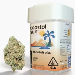 Coastal Sun Cheetah Piss Greenhouse Flower 3.5g Coastal Sun Cheetah Piss Greenhouse Flower 3.5g