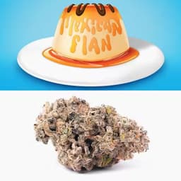 Cookies - 3.5G - Mexican Flan Cookies - 3.5G - Mexican Flan