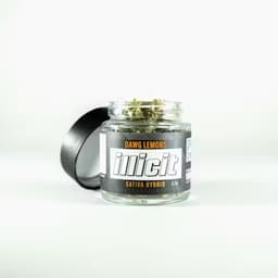 ILLICIT Dawg Lemons 3.5g Flower ILLICIT Dawg Lemons 3.5g Flower