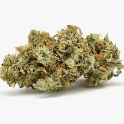 GG4 - Pre-Roll Tin - 10pk GG4 - Pre-Roll Tin - 10pk