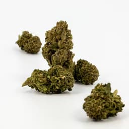 Dank By Definition GOLDEN GOAT Dank By Definition GOLDEN GOAT