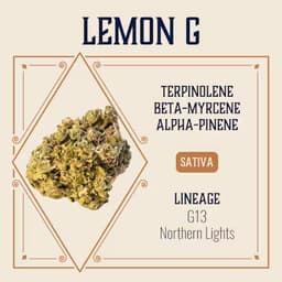 Lemon G 1:1 THC:CBD Lemon G 1:1 THC:CBD