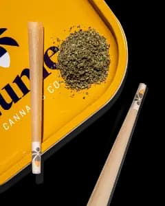 Dosidos Premium Grind 14g Dosidos Premium Grind 14g
