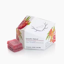 WYLD Pomegranate 1:1 CBD + Hybrid Enhanced Gummies | 100:100mg WYLD Pomegranate 1:1 CBD + Hybrid Enhanced Gummies | 100:100mg