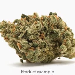 SAVVY - Mag Landrace (Smalls) Indica 1 SAVVY - Mag Landrace (Smalls) Indica 1