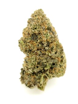 Bubba Fett (AAAA+) Bubba Fett (AAAA+)