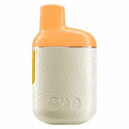 Peach Lemonade - Back Forty - Disposable Peach Lemonade - Back Forty - Disposable