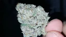 Cataract Kush Cataract Kush