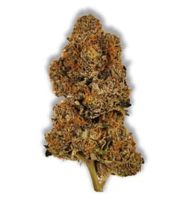 Gorilla Nutz Gorilla Nutz