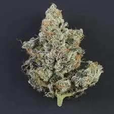 TRUFFLE CAKE - 3.5G PREMIUM VENDOR PRE-PACK TRUFFLE CAKE - 3.5G PREMIUM VENDOR PRE-PACK