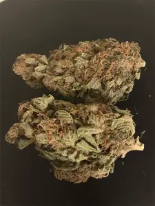 Grand Doggy Purps Grand Doggy Purps