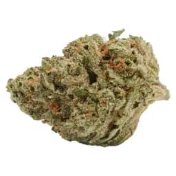 Liquid Imagination - Back Forty - Dried Flower Liquid Imagination - Back Forty - Dried Flower